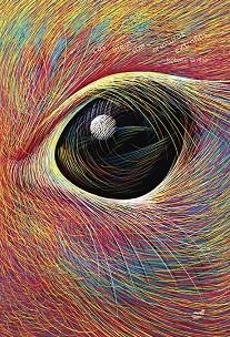 LAS IDEAS SON CRIATURAS EXTRAÑAS | 9788418702563 | SIMLER, ISABELLE | Llibreria Online de Banyoles | Comprar llibres en català i castellà online