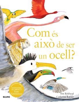 COM ÉS AIXÒ DE SER UN OCELL? | 9788410048102 | BIRKHEAD, TIM/RAYNER, CATHERINE | Llibreria L'Altell - Llibreria Online de Banyoles | Comprar llibres en català i castellà online - Llibreria de Girona