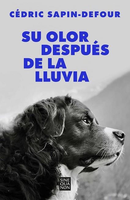 SU OLOR DESPUÉS DE LA LLUVIA | 9788466678766 | SAPIN-DEFOUR, CÉDRIC | Llibreria L'Altell - Llibreria Online de Banyoles | Comprar llibres en català i castellà online - Llibreria de Girona