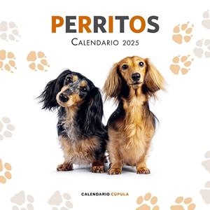 CALENDARIO PERRITOS 2025 | 9788448041649 | AA. VV. | Llibreria L'Altell - Llibreria Online de Banyoles | Comprar llibres en català i castellà online - Llibreria de Girona