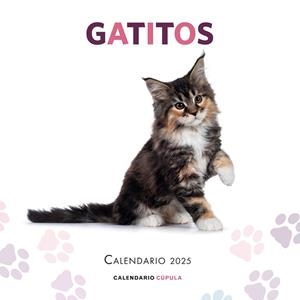 CALENDARIO GATITOS 2025 | 9788448041656 | AA. VV. | Llibreria L'Altell - Llibreria Online de Banyoles | Comprar llibres en català i castellà online - Llibreria de Girona