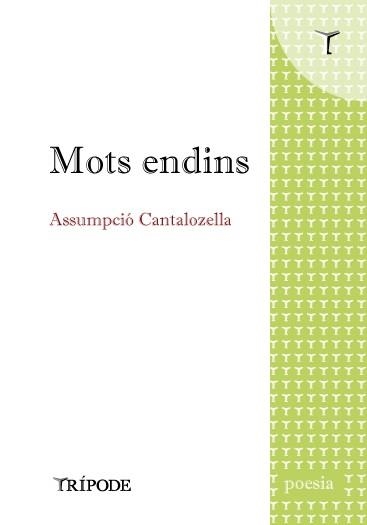MOTS ENDINS | 9788412920819 | CANTALOZELLA, ASSUMPCIÓ | Llibreria Online de Banyoles | Comprar llibres en català i castellà online