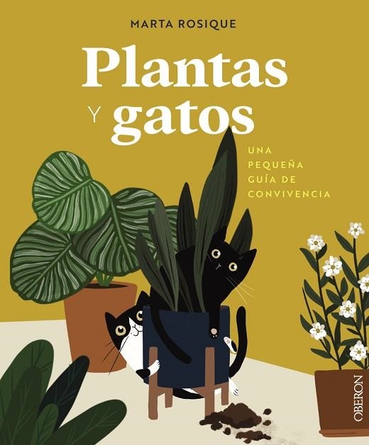 PLANTAS Y GATOS | 9788441550605 | ROSIQUE, MARTA | Llibreria L'Altell - Llibreria Online de Banyoles | Comprar llibres en català i castellà online - Llibreria de Girona