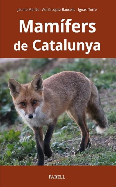 MAMÍFERS DE CATALUNYA | 9788417116927 | MARLES MAGRE, JAUME/LOPEZ-BAUCELLS, ADRIA/TORRE COROMINAS, IGNASI | Llibreria L'Altell - Llibreria Online de Banyoles | Comprar llibres en català i castellà online - Llibreria de Girona