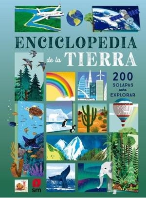 ENCICLOPEDIA DE LA TIERRA | 9788411822916 | MARTIN, RUTH | Llibreria L'Altell - Llibreria Online de Banyoles | Comprar llibres en català i castellà online - Llibreria de Girona