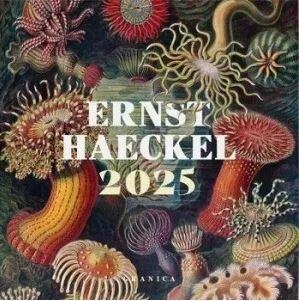 (2025).CALENDARIO ERNST HAECKEL | 9786316544506 | VV.AA. | Llibreria L'Altell - Llibreria Online de Banyoles | Comprar llibres en català i castellà online - Llibreria de Girona