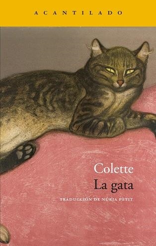 GATA, LA | 9788419958488 | COLETTE | Llibreria L'Altell - Llibreria Online de Banyoles | Comprar llibres en català i castellà online - Llibreria de Girona