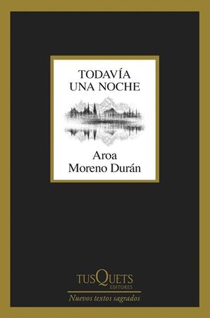 TODAVÍA UNA NOCHE | 9788411075756 | MORENO DURÁN, AROA | Llibreria Online de Banyoles | Comprar llibres en català i castellà online