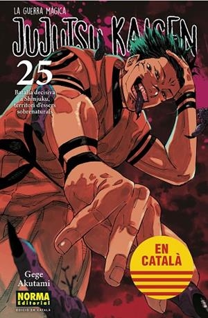 JUJUTSU KAISEN 25 | 9788467969979 | AKUTAMI, GEGE | Llibreria L'Altell - Llibreria Online de Banyoles | Comprar llibres en català i castellà online - Llibreria de Girona