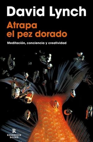 ATRAPA EL PEZ DORADO | 9788418897436 | LYNCH, DAVID | Llibreria Online de Banyoles | Comprar llibres en català i castellà online