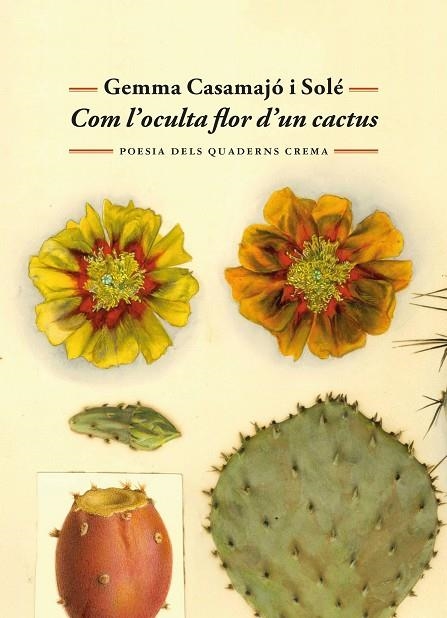 COM L'OCULTA FLOR D'UN CACTUS | 9788477277071 | CASAMAJÓ I SOLÉ, GEMMA | Llibreria Online de Banyoles | Comprar llibres en català i castellà online