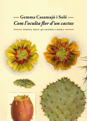 COM L'OCULTA FLOR D'UN CACTUS | 9788477277071 | CASAMAJÓ I SOLÉ, GEMMA | Llibreria L'Altell - Llibreria Online de Banyoles | Comprar llibres en català i castellà online - Llibreria de Girona