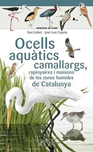 OCELLS AQUÀTICS CAMALLARGS, RAPINYAIRES I MOIXONS DE LES ZONES HUMIDES DE CATALU | 9788413564746 | COPETE, JOSÉ LUIS | Llibreria Online de Banyoles | Comprar llibres en català i castellà online