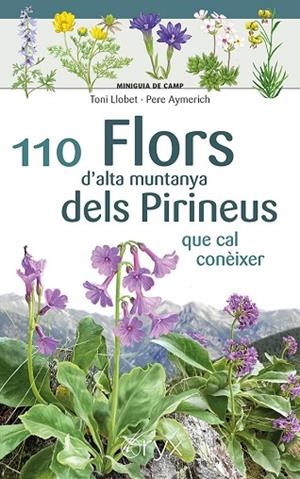 110 FLORS D'ALTA MUNTANYA DELS PIRINEUS | 9788413564647 | AYMERICH, PERE | Llibreria Online de Banyoles | Comprar llibres en català i castellà online