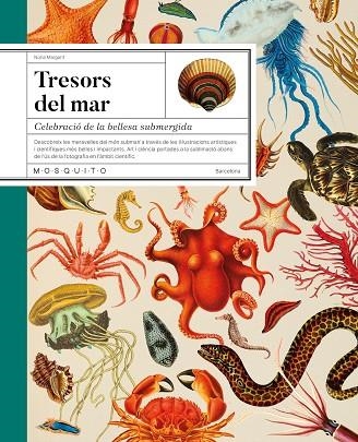 TRESORS DEL MAR | 9788419095756 | MARGARIT, NÚRIA | Llibreria L'Altell - Llibreria Online de Banyoles | Comprar llibres en català i castellà online - Llibreria de Girona