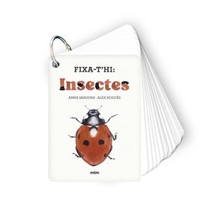 FIXA-T'HI: INSECTES | 9788410407213 | SANJUAN LLORENS, ANNA/NOGUÉS OTERO, ALEX | Llibreria Online de Banyoles | Comprar llibres en català i castellà online