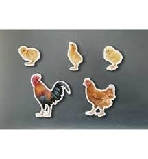 IMANTS FAMÍLIA DE GALLINES | 0760412890964 | NOWORDBOOKS | Llibreria Online de Banyoles | Comprar llibres en català i castellà online