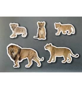 IMANTS FAMÍLIA DE LLEONS | 0760412890971 | NOWORDBOOKS | Llibreria Online de Banyoles | Comprar llibres en català i castellà online