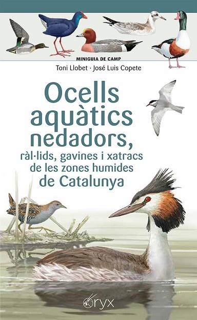 OCELLS AQUÀTICS NEDADORS, RÀL·LIDS, GAVINES I XATRACS DE LES ZONES HUMIDES DE CATALUNYA | 9788413564883 | COPETE, JOSÉ LUIS | Llibreria L'Altell - Llibreria Online de Banyoles | Comprar llibres en català i castellà online - Llibreria de Girona