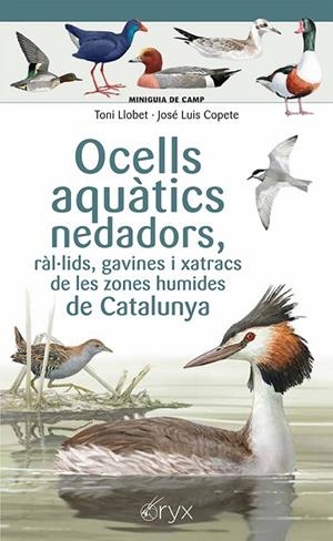OCELLS AQUÀTICS NEDADORS, RÀL·LIDS, GAVINES I XATRACS DE LES ZONES HUMIDES DE CATALUNYA | 9788413564883 | COPETE, JOSÉ LUIS | Llibreria Online de Banyoles | Comprar llibres en català i castellà online
