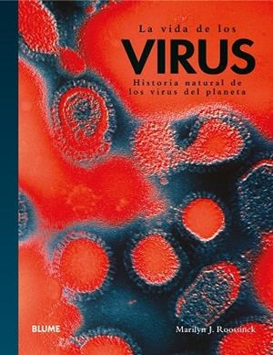 LA VIDA DE LOS VIRUS | 9788410469082 | ROOSSINCK, MARILYN J. | Llibreria Online de Banyoles | Comprar llibres en català i castellà online
