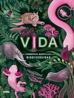 VIDA | 9786075840338 | N.R. SMITH, JENNIFER | Llibreria Online de Banyoles | Comprar llibres en català i castellà online