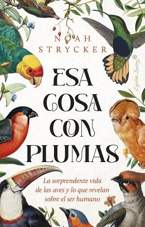 ESA COSA CON PLUMAS | 9788412953114 | STRYCK, NOAH KEEFER | Llibreria L'Altell - Llibreria Online de Banyoles | Comprar llibres en català i castellà online - Llibreria de Girona