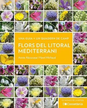 FLORS DEL LITORAL MEDITERRANI | 9788413564937 | ABOUCAYA, ANNIE/MICHAUD, HENRI | Llibreria L'Altell - Llibreria Online de Banyoles | Comprar llibres en català i castellà online - Llibreria de Girona