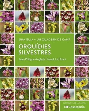 ORQUÍDIES SILVESTRES | 9788413564920 | ANGLADE, JEAN-PHILIPPE/LE DRIANT, FRANCK | Llibreria L'Altell - Llibreria Online de Banyoles | Comprar llibres en català i castellà online - Llibreria de Girona