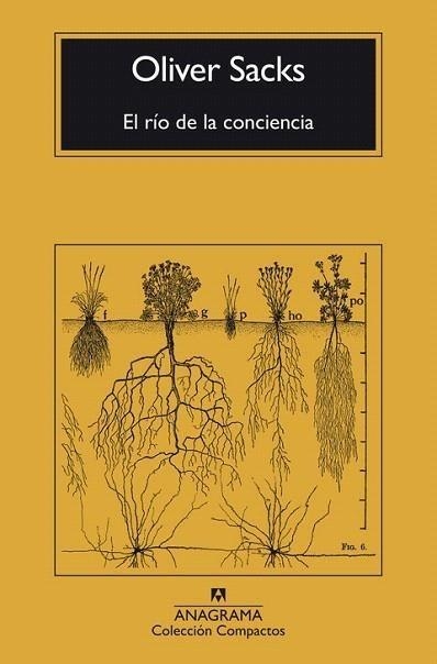 RÍO DE LA CONCIENCIA, EL | 9788433946867 | SACKS, OLIVER | Llibreria L'Altell - Llibreria Online de Banyoles | Comprar llibres en català i castellà online - Llibreria de Girona