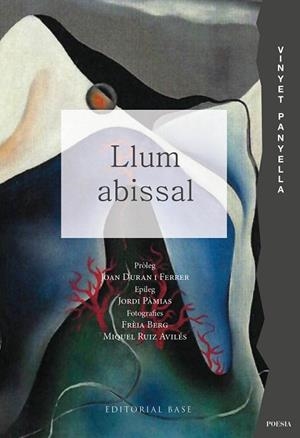 LLUM ABISSAL | 9791387728021 | PANYELLA, VINYET | Llibreria Online de Banyoles | Comprar llibres en català i castellà online