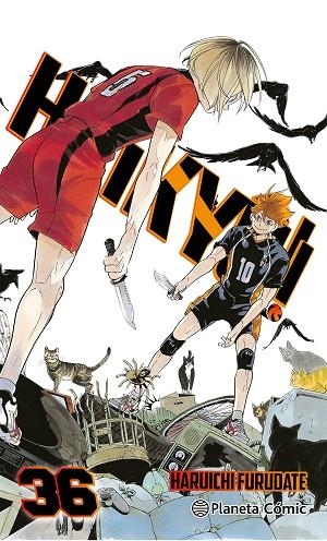 HAIKYÛ!! Nº 36/45 | 9788411619370 | FURUDATE, HARUICHI | Llibreria Online de Banyoles | Comprar llibres en català i castellà online