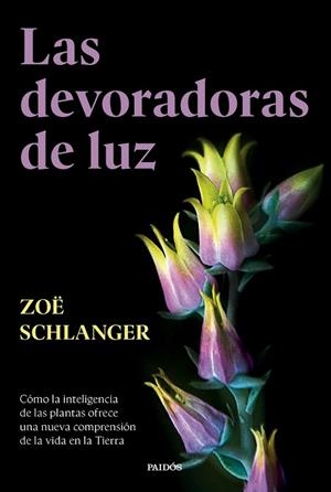 LAS DEVORADORAS DE LUZ | 9788449343742 | SCHLANGER, ZOË | Llibreria Online de Banyoles | Comprar llibres en català i castellà online