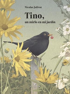 TINO, UN MIRLO EN MI JARDÍN | 9791387597160 | JOLIVOT, NICOLAS | Llibreria L'Altell - Llibreria Online de Banyoles | Comprar llibres en català i castellà online - Llibreria de Girona