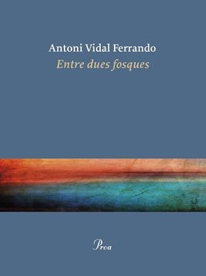 ENTRE DUES FOSQUES | 9788410488434 | VIDAL FERRANDO, ANTONI | Llibreria Online de Banyoles | Comprar llibres en català i castellà online