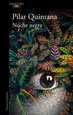 NOCHE NEGRA | 9788420477305 | QUINTANA, PILAR | Llibreria Online de Banyoles | Comprar llibres en català i castellà online