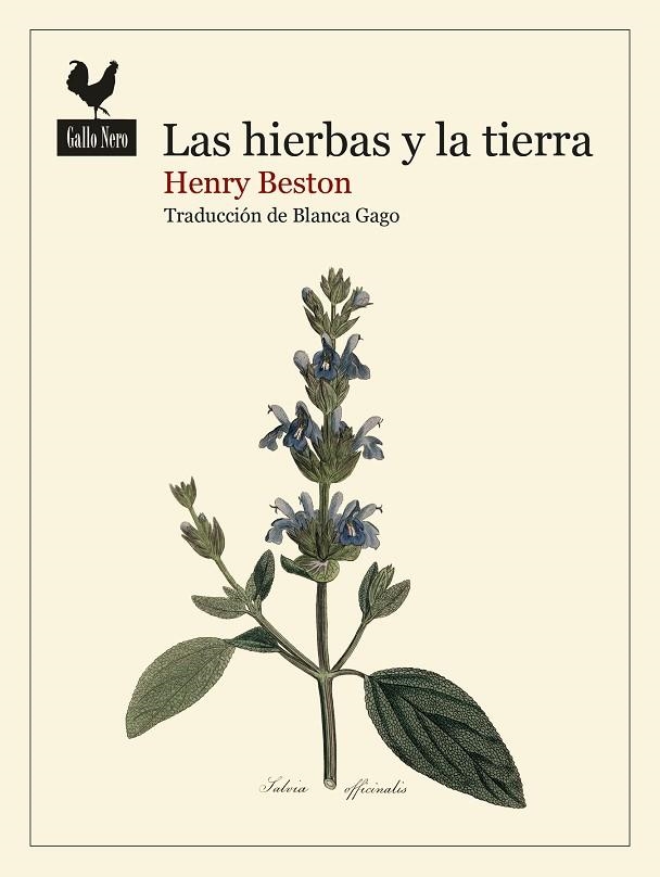 LAS HIERBAS Y LA TIERRA | 9788419168740 | BESTON, HENRY | Llibreria L'Altell - Llibreria Online de Banyoles | Comprar llibres en català i castellà online - Llibreria de Girona