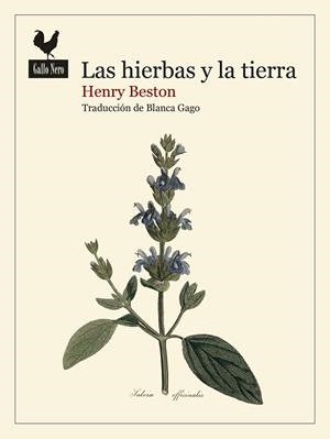 LAS HIERBAS Y LA TIERRA | 9788419168740 | BESTON, HENRY | Llibreria Online de Banyoles | Comprar llibres en català i castellà online