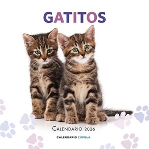 CALENDARIO GATITOS 2026 | 9788448044909 | AA. VV. | Llibreria L'Altell - Llibreria Online de Banyoles | Comprar llibres en català i castellà online - Llibreria de Girona