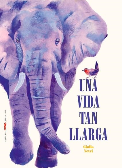 UNA VIDA TAN LLARGA | 9788412970081 | VETRI, GIULIA | Llibreria Online de Banyoles | Comprar llibres en català i castellà online