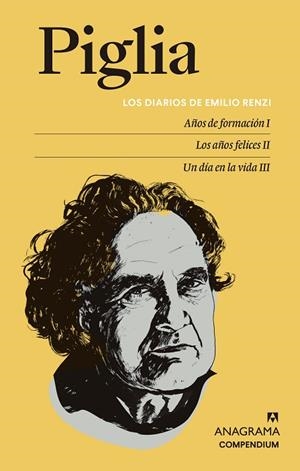 LOS DIARIOS DE EMILIO RENZI | 9788433932044 | PIGLIA, RICARDO | Llibreria Online de Banyoles | Comprar llibres en català i castellà online