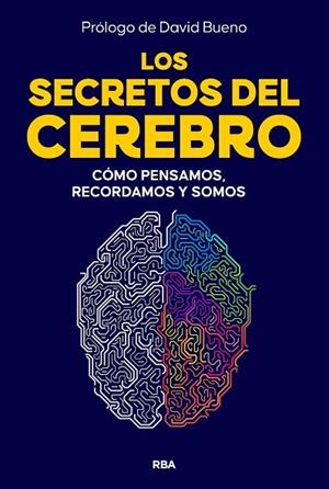 LOS SECRETOS DEL CEREBRO | 9788410981249 | Llibreria Online de Banyoles | Comprar llibres en català i castellà online