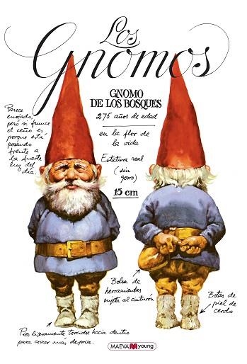 LOS GNOMOS | 9788410260955 | HUYGEN, WIL/POORTVLIET, RIEN | Llibreria Online de Banyoles | Comprar llibres en català i castellà online