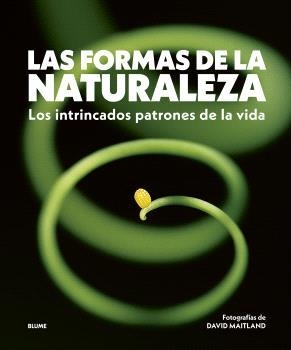LAS FORMAS DE LA NATURALEZA | 9788410469822 | MAITLAND, DAVID | Llibreria Online de Banyoles | Comprar llibres en català i castellà online