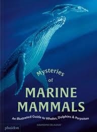 MYSTERIES OF MARINE MAMMALS | 9781837290208 | DELAUNAY, AMANDINE | Llibreria Online de Banyoles | Comprar llibres en català i castellà online
