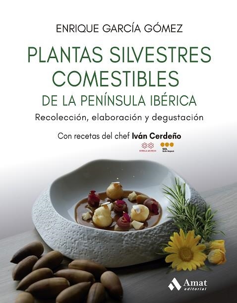 PLANTAS SILVESTRES COMESTIBLES DE LA PENÍNSULA IBÉRICA | 9788410451384 | GARCÍA GÓMEZ, ENRIQUE | Llibreria Online de Banyoles | Comprar llibres en català i castellà online