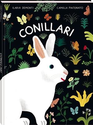 CONILLARI | 9788419913760 | ILARIA, DEMONTI | Llibreria Online de Banyoles | Comprar llibres en català i castellà online