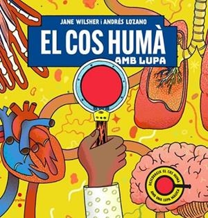 EL COS HUMÀ AMB LUPA | 9788466159074 | WILSHER, JANE | Llibreria Online de Banyoles | Comprar llibres en català i castellà online