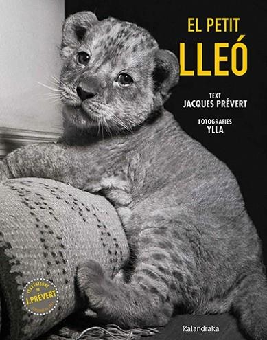 EL PETIT LLEÓ | 9788410387102 | PRÉVERT, JACQUES | Llibreria L'Altell - Llibreria Online de Banyoles | Comprar llibres en català i castellà online - Llibreria de Girona