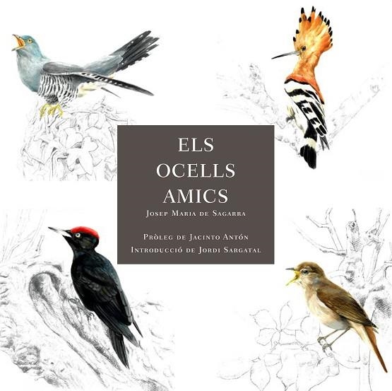 ELS OCELLS AMICS | 9788412949025 | DE SAGARRA, JOSEP MARIA | Llibreria Online de Banyoles | Comprar llibres en català i castellà online